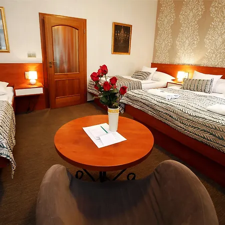 Roudna Hotel 3*