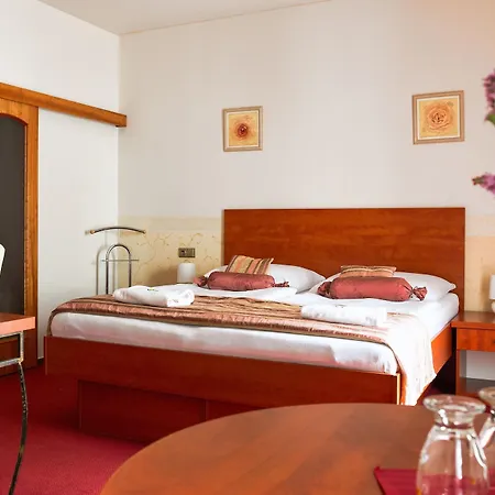 Hotel Roudna Plzeň