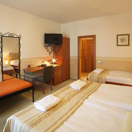 Hotel Roudna 3*