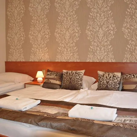 Hotel Roudna 3*
