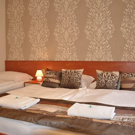 Hotel Roudna 3*