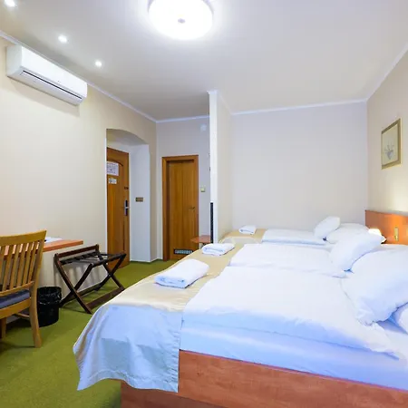 Hotel Roudna 3*