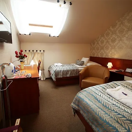 Roudna Hotel 3*