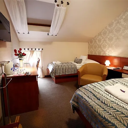 Hotel Roudna 3*