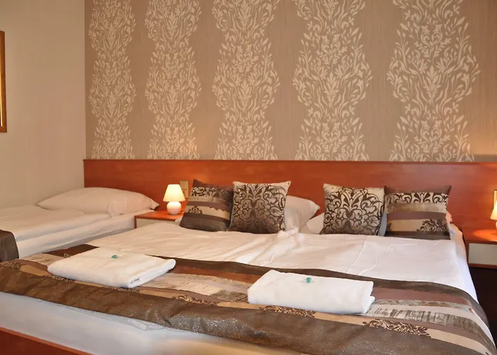 Hotel Roudna 3*