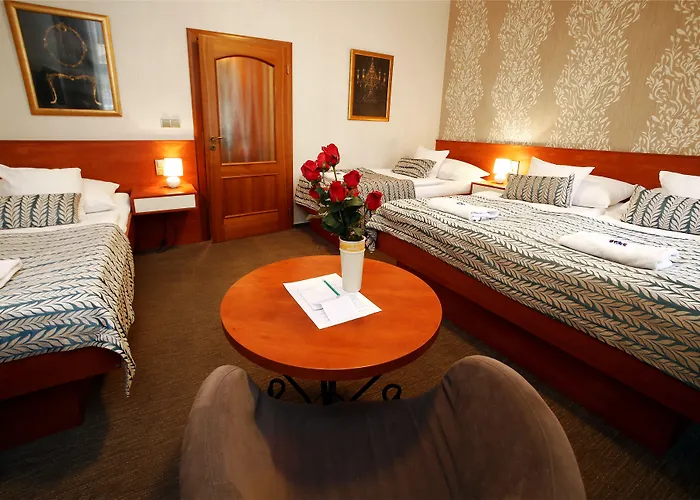 Hotel Roudna 3*