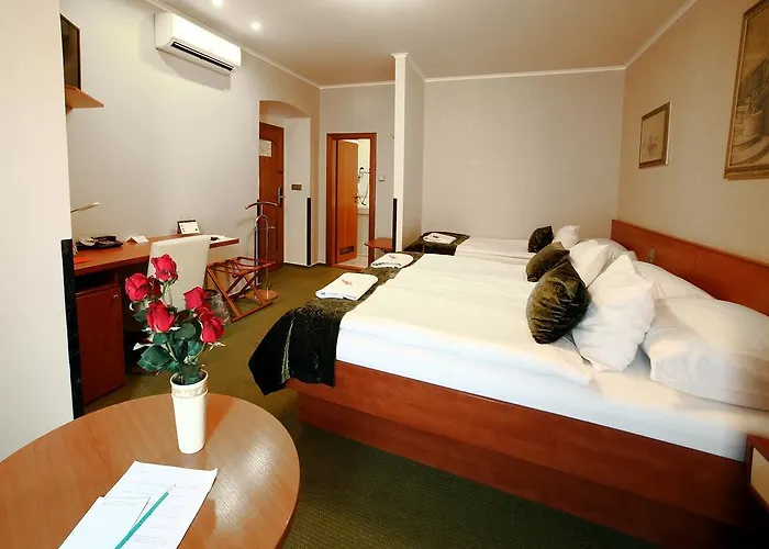 Roudna Hotel 3*