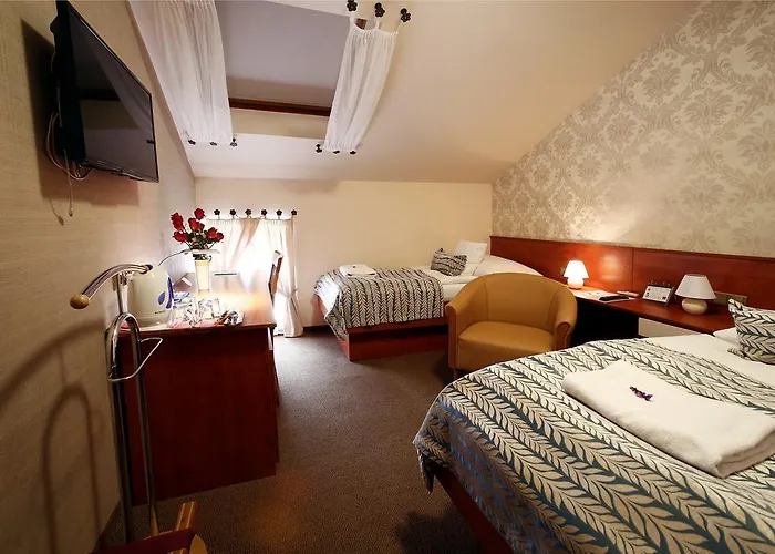 Hotel Roudna 3*